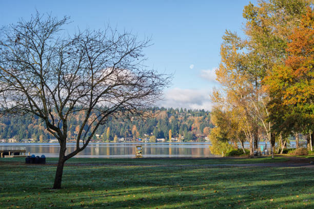 istock Autumn in the Beach Park 1171058324