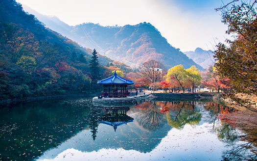 beautiful reflection of Autumn season Naejangsan national park, South Korea.