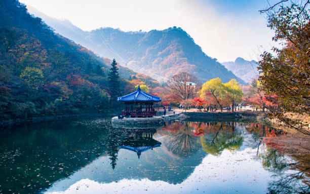 reflection of autumn season hill beautiful reflection of Autumn season Naejangsan national park, South Korea. korea autumn stock pictures, royalty-free photos & images