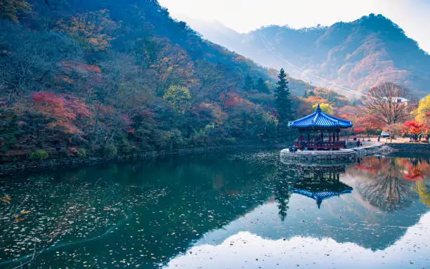Beautiful reflection of autumn season on Naejangsan Lake, South Korea.