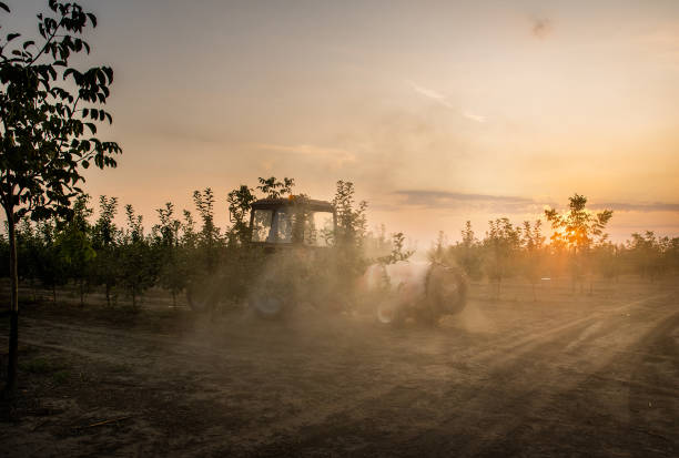 istock Spraying trees in fruit orchard against insect and deceases. 1171059325