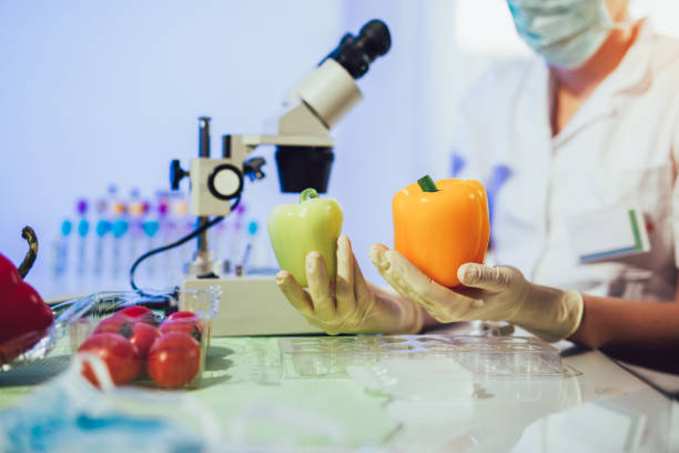 istock Food testing in the laboratory. GMO food. Laboratory 1171065966