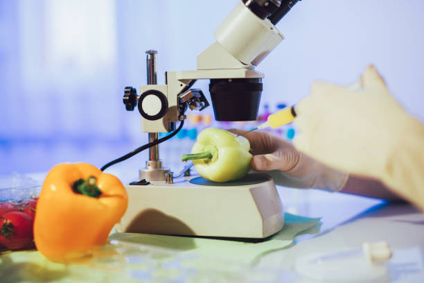 istock Food testing in the laboratory. GMO food. Laboratory 1171067108