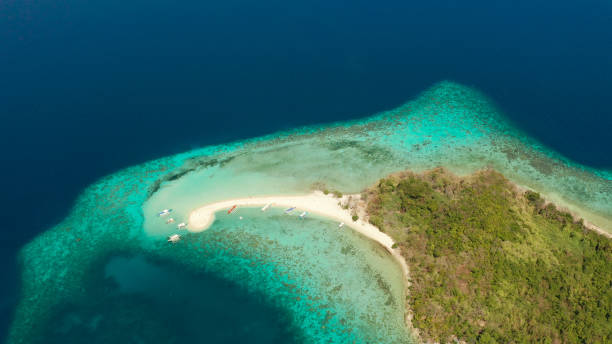 istock tropical island with sandy beach, Philippines, Palawan 1171070004