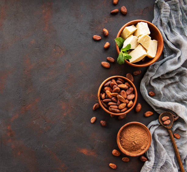 istock Cocoa beans, powder and butter 1171070110
