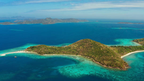 istock tropical island with sandy beach, Philippines, Palawan 1171077610