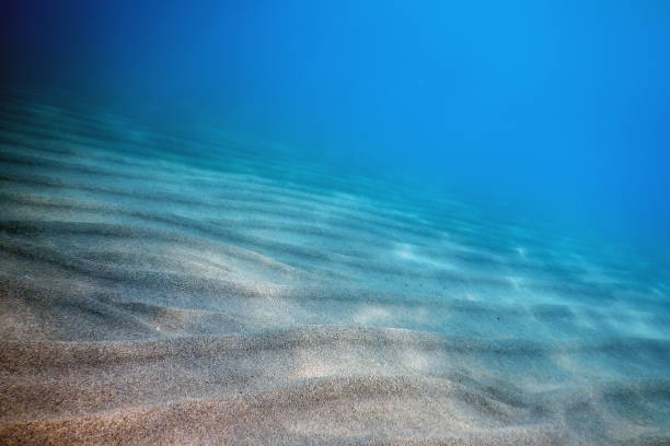 istock Underwater Blue Ocean, Sandy sea bottom Underwater background 1171077923