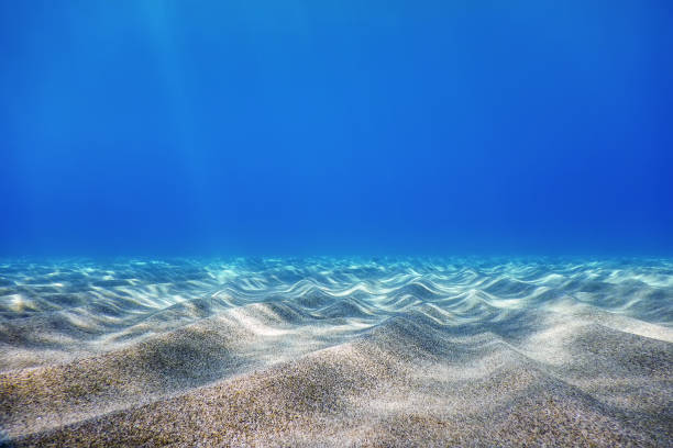 istock Underwater Blue Ocean, Sandy sea bottom Underwater background 1171078749