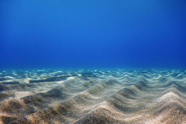 istock Underwater Blue Ocean, Sandy sea bottom Underwater background 1171079888