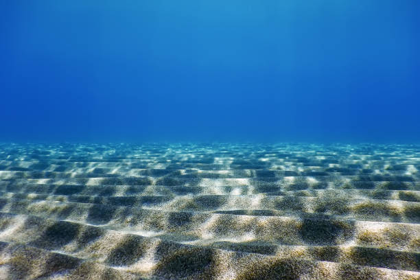 istock Underwater Blue Ocean, Sandy sea bottom Underwater background 1171079910