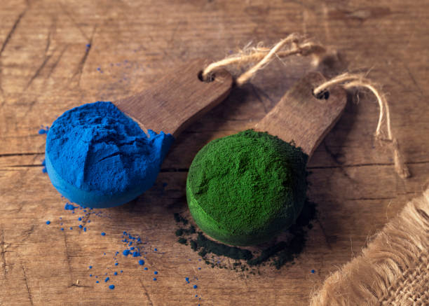 Super food powders Super food powders in wooden spoons spirulina bacterium stock pictures, royalty-free photos & images