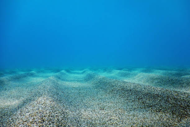 istock Underwater Blue Ocean, Sandy sea bottom Underwater background 1171080516