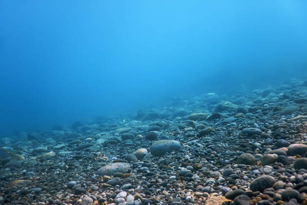 istock Underwater Rocks and Pebbles on the Seabed 1171080556