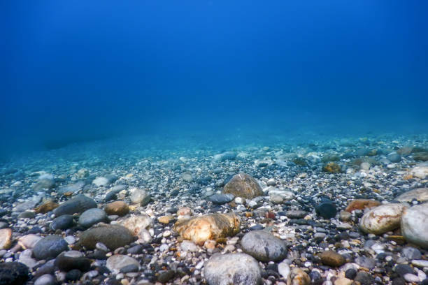 istock Underwater Rocks and Pebbles on the Seabed 1171080587