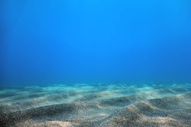 istock Underwater Blue Ocean, Sandy sea bottom Underwater background 1171080639