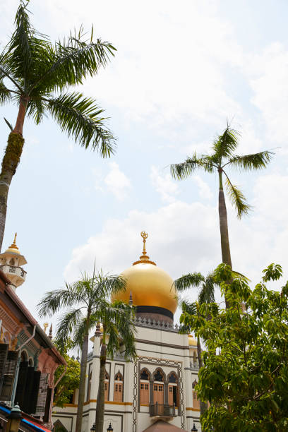 istock Oriental building with golden dome surrounded with palm trees 1171080701