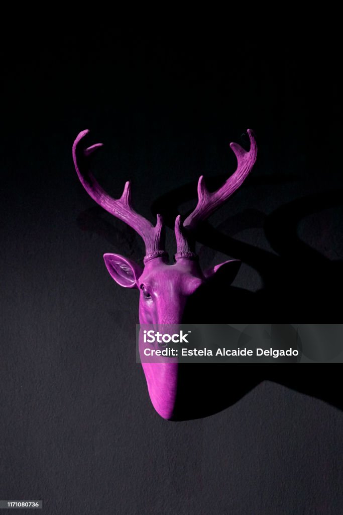 Artificial Purple Deer Head Hanging On Black Wall Stock Photo - Download  Image Now - Animal, Animal Body Part, Animal Head - iStock