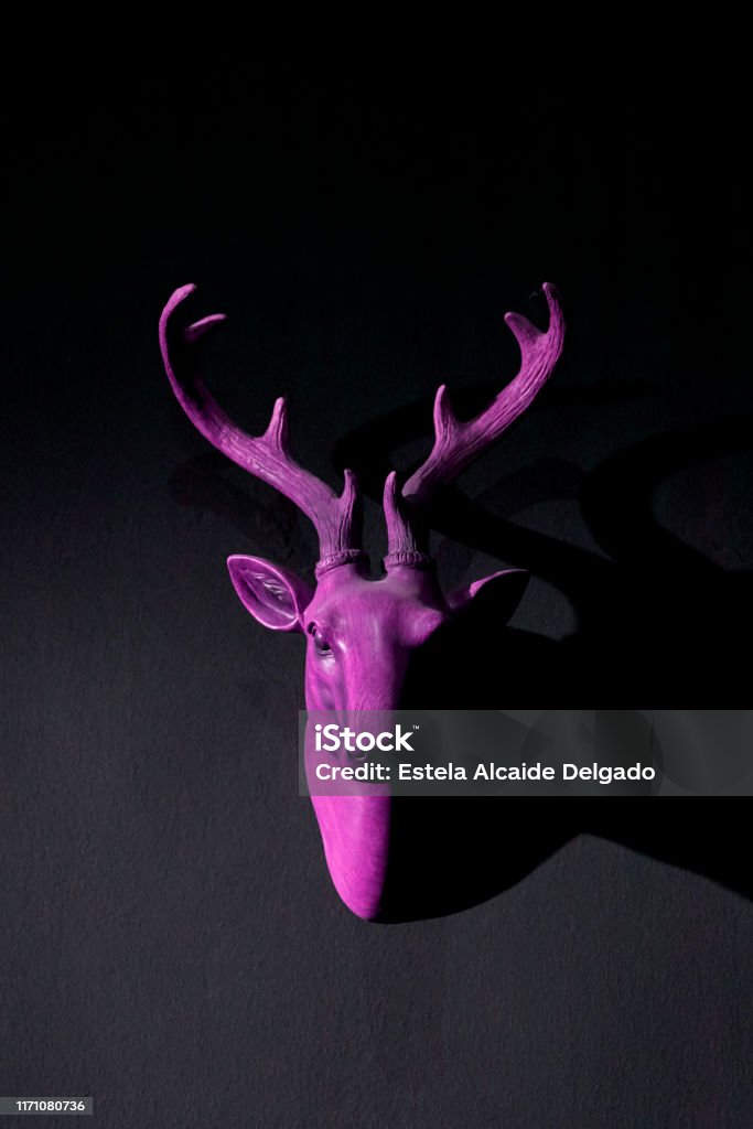 Artificial Purple Deer Head Hanging On Black Wall Stock Photo - Download Image Now - Animal, Animal Body Part, Animal Head - iStock Artificial Purple Deer Head Hanging On Black Wall Stock Photo - Download Image Now - Animal, Animal Body Part, Animal Head - iStock