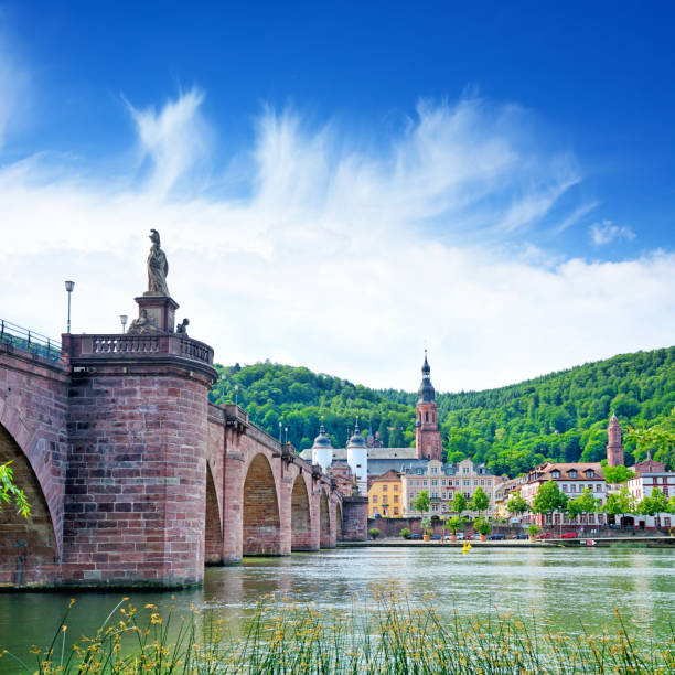 istock Old Bridge in Heidelberg 1171080894