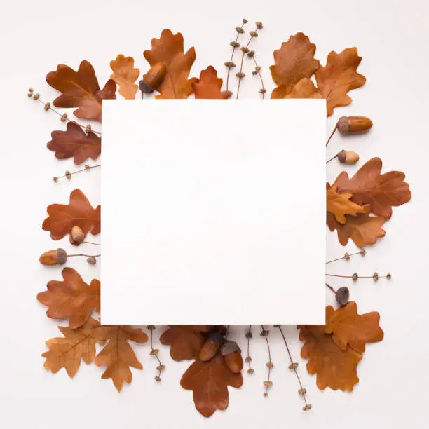 Photo of Bronze autumn square frame of oak dead leaves on white