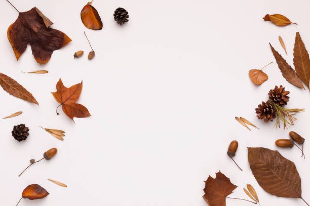 istock Bronze and brown leaves creating frame for text on white 1171086938