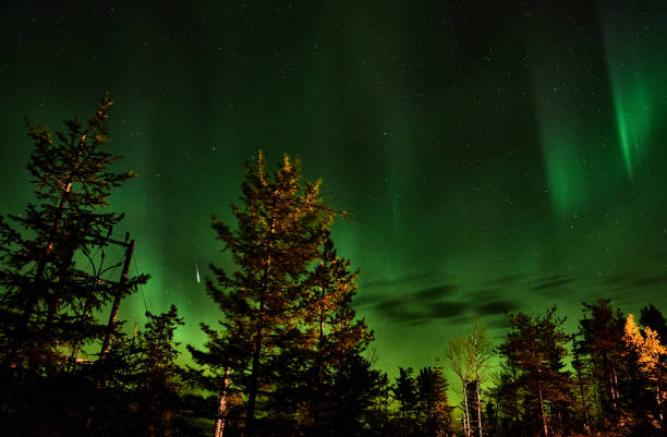 istock Aurora Borealis over a forest in the Finnish 1171087339