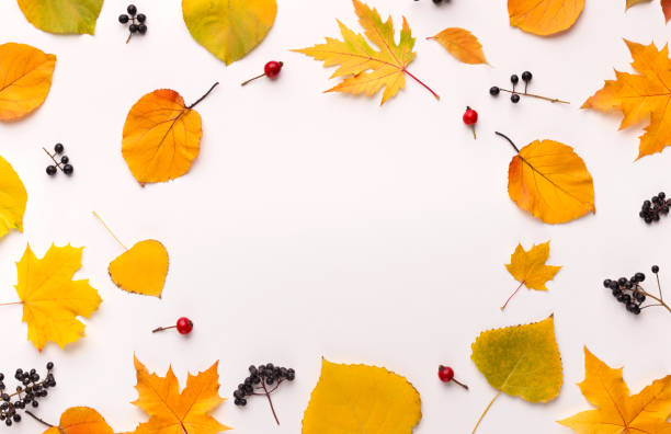 istock Creative flat lay of fallen leaves making round frame 1171088368
