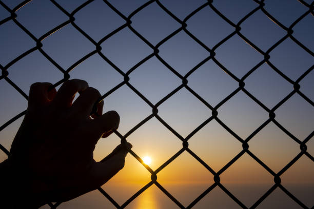 istock hand holding on chain link fence for freedom, sun in background 1171088534