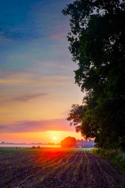 istock Colorful glowing sunrise 1171088700