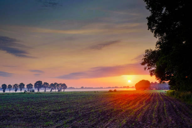 istock Colorful glowing sunrise 1171088704