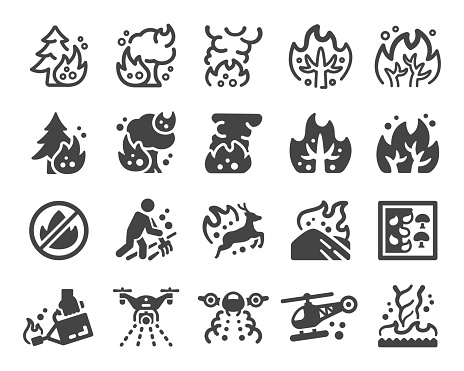wildfire and fire disaster icon set,vector and illustration