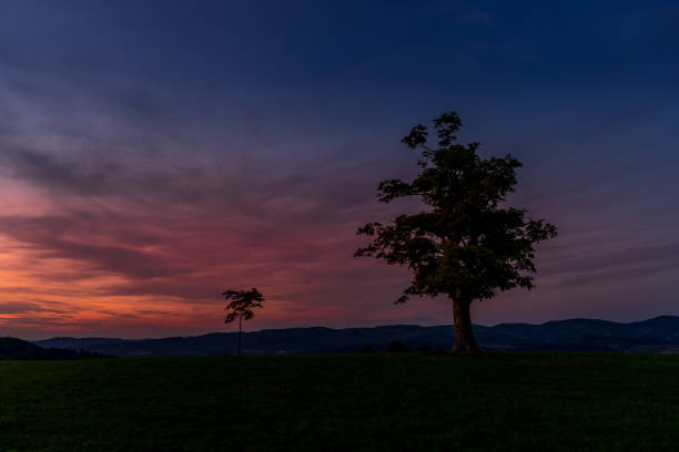 istock Abandoned tree on a mountain ridge captured during orange and purple sunset in background, beautiful clouds and sun behind the horizon captured Velka Lhota Czech Republic 1171090883