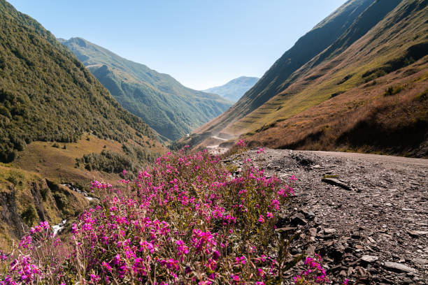 beautiful view of mountain landscape during morning hour stock photo