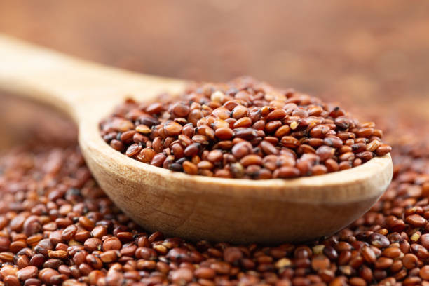 quinoa grains. seeds of red quinoa - chenopodium quinoa, in spoon - quinoa spoon wood photography imagens e fotografias de stock