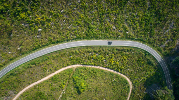 istock A road through a deforest wood area - aerial view 1171097200