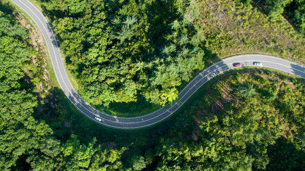 istock Road curve in the forest - aerial view 1171097286