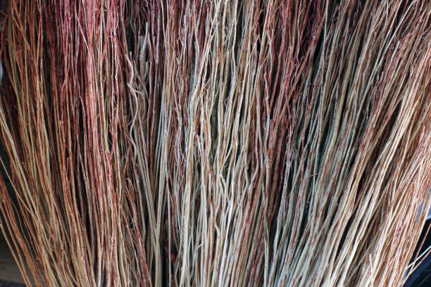 background of dry branches - root paper black textured imagens e fotografias de stock