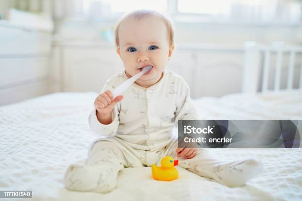 Cute Little Girl With Toothbrush In Pyjamas On Bed Stock Photo - Download Image Now - Baby - Human Age, Toothbrush, Teeth