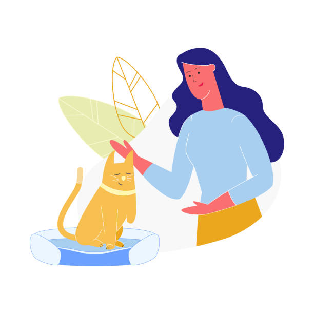 Young Woman Caress Cat Without Front Leg, Pet Young Woman Caress Cat Without Front Leg, Pet with Amputated Paw, Animal with Disability, Girl Character Spend Time with Domestic Animal, Human and Animal Relations. Cartoon Flat Vector Illustration stroking illustrations stock illustrations
