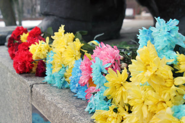 istock Yellow and blue flowers 1171117573