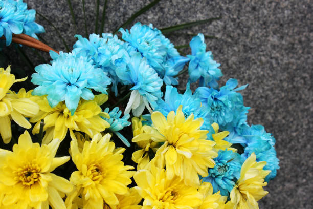 istock Yellow and blue flowers 1171117581