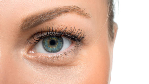 istock Woman's eye - close up photo. Eyesight concept. 1171118216