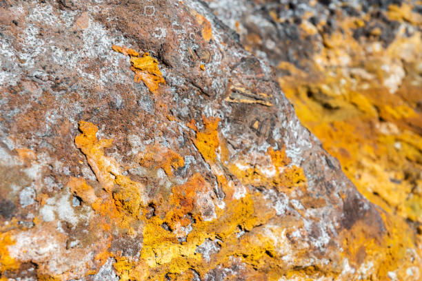 mineral material surface closeup with natural pattern for design and decoration,  texture rocks