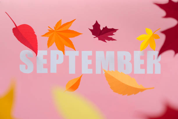 istock Leaves of paper fall red, orange, yellow leaf fall. 1171121313