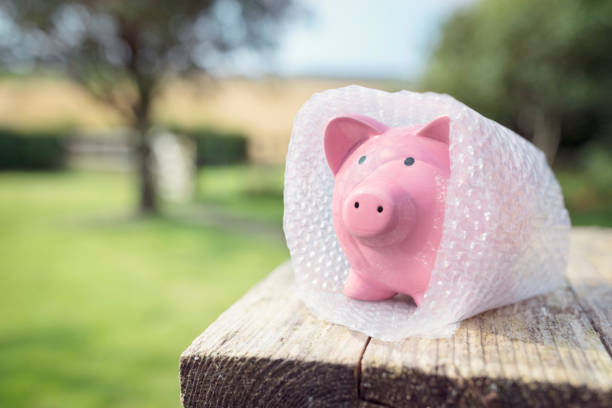 piggy banque enveloppée dans du papier bulle, protégeant votre argent - sauvegarde photos et images de collection