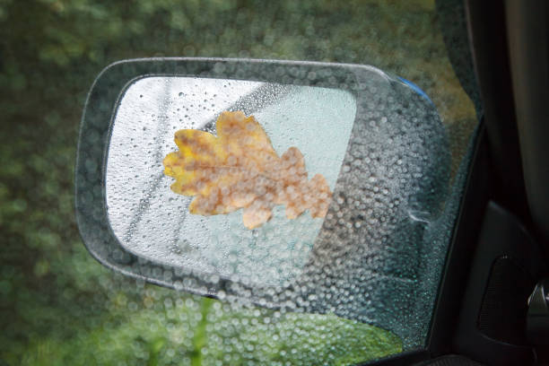 yellow oak leaf on wet mirror of a car closeup outdoor on rainy autumn day