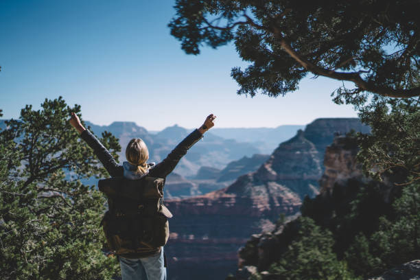 istock Back view of female traveler enjoying wanderlust spending on active rest exploring wild nature, young hipster girl with rucksack feeling free rising hand getting to high hill in Arizona National Park 1171124297