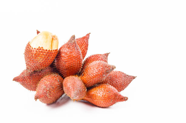 istock Salak Palm , waive or snake fruit 1171124743