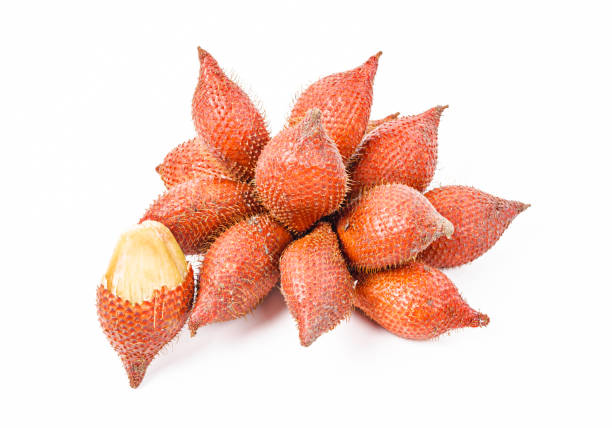 istock Salak Palm , waive or snake fruit 1171124791