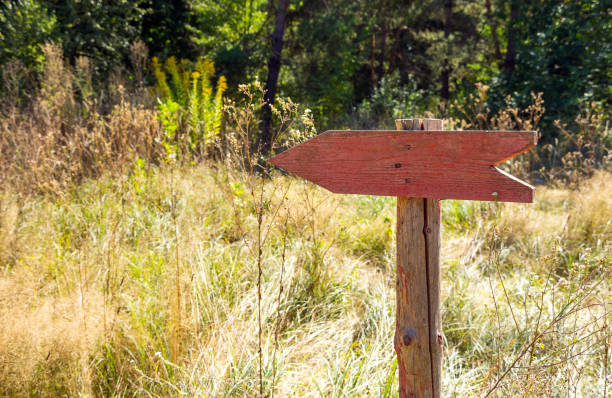 istock The red arrow in a woodland. Copy-space, selective focus. 1171125062